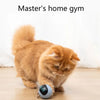 rovotoy 360 degree Interactive cat toy