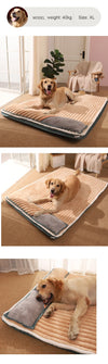 petpad orthopedic dog bed