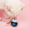 rovotoy 360 degree Interactive cat toy