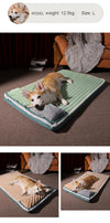 petpad orthopedic dog bed