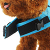 sharkpal dog safety vest