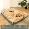 petpad orthopedic dog bed