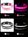 poochDazzle reflective dog collar