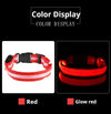 poochDazzle reflective dog collar