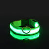 poochDazzle reflective dog collar