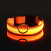 poochDazzle reflective dog collar