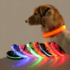 poochDazzle reflective dog collar