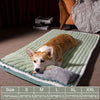 petpad orthopedic dog bed