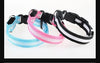 poochDazzle reflective dog collar