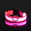 poochDazzle reflective dog collar